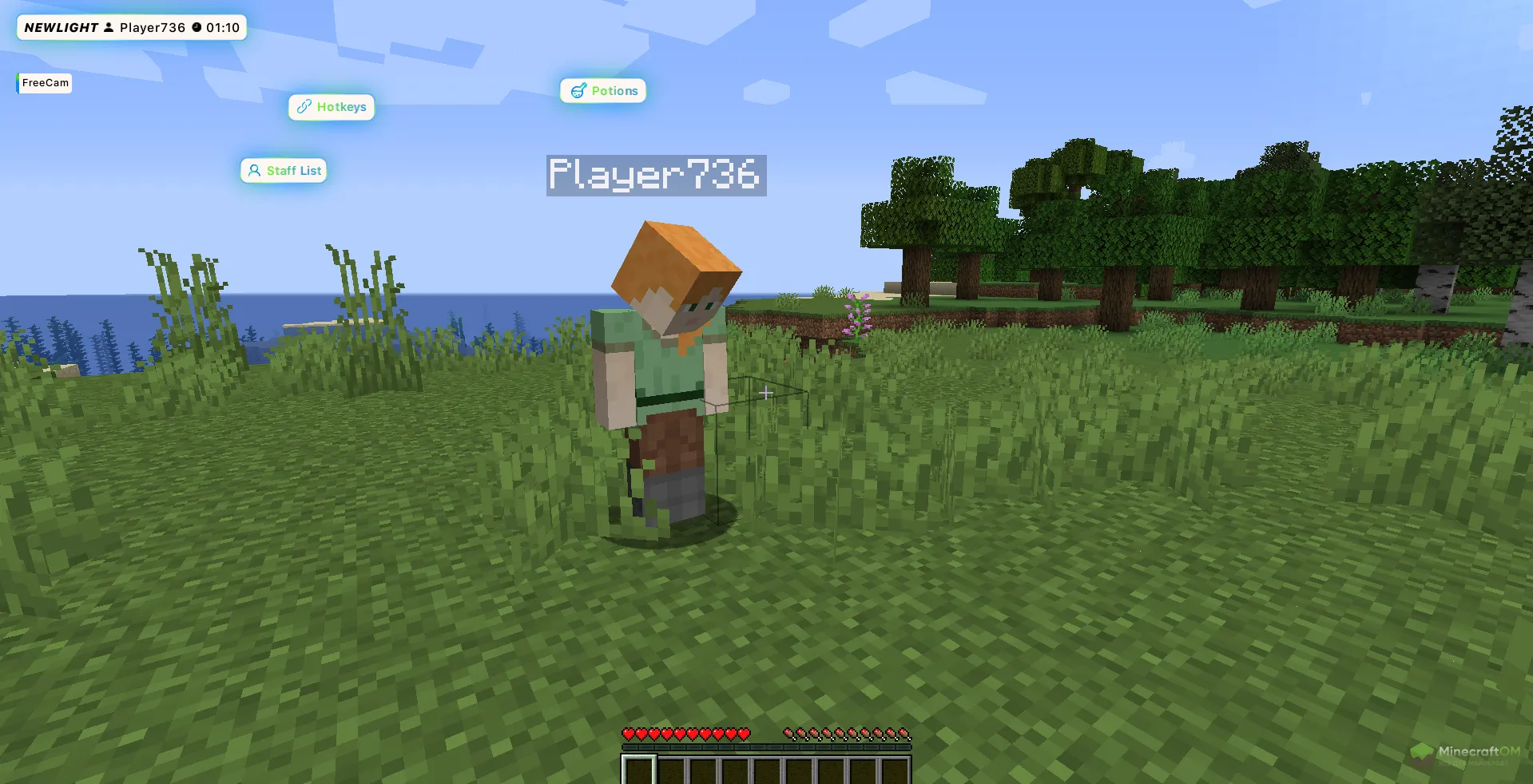 Функция Freecam чита NEWLIGHT