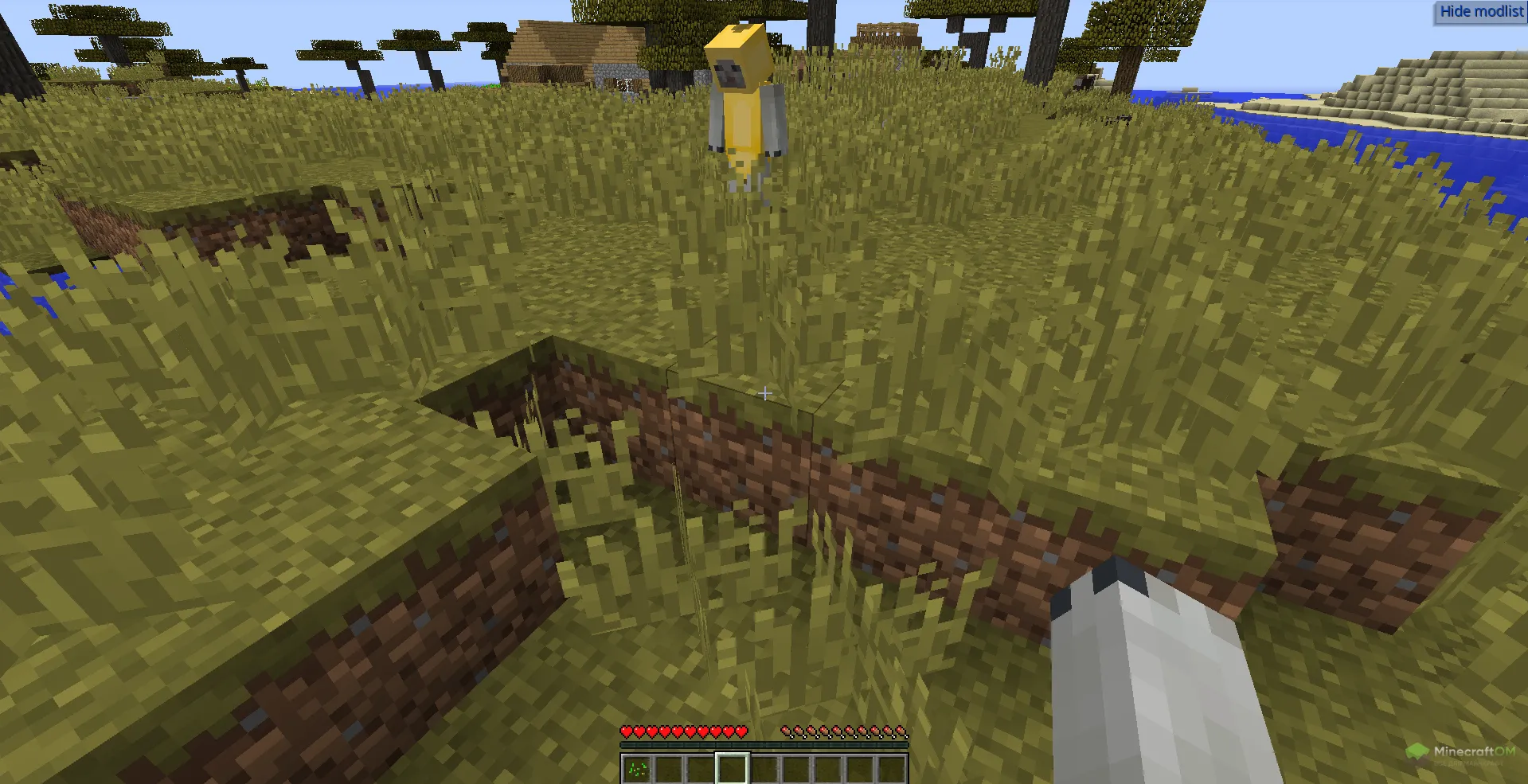 Функция Freecam сундуков чита Oringo