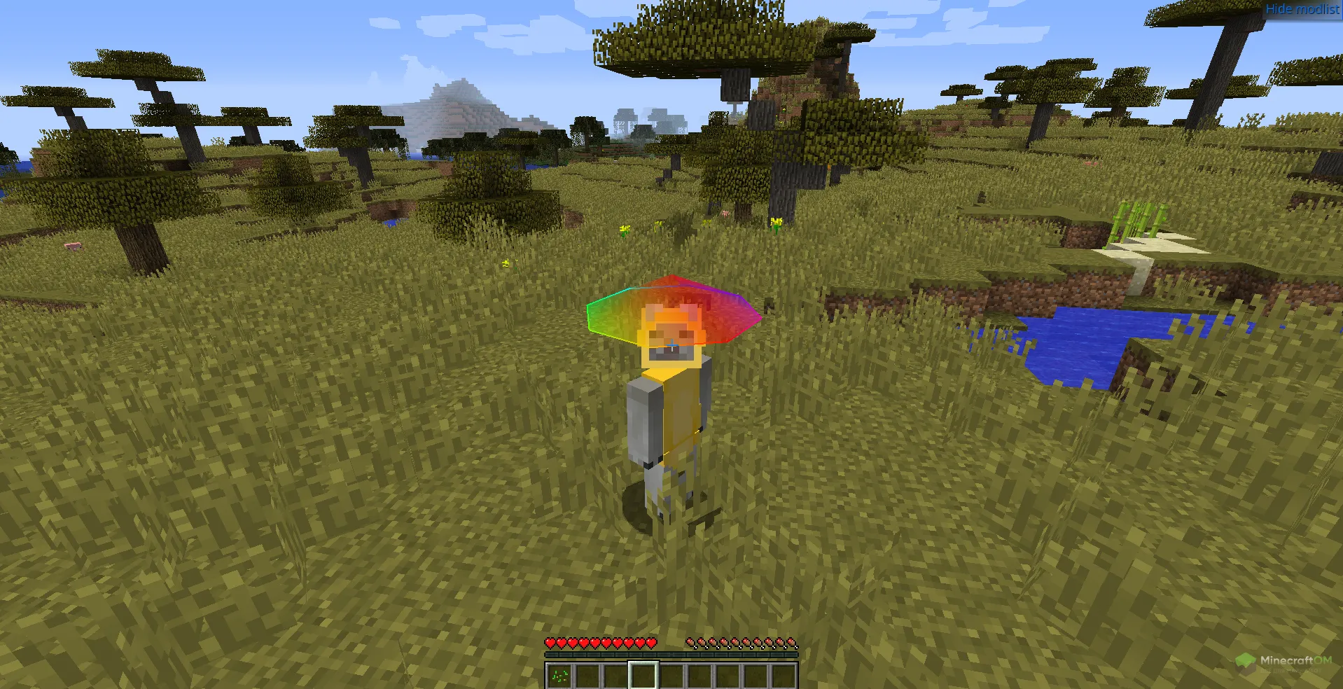 Возможность чита Oringo надеть шляпу