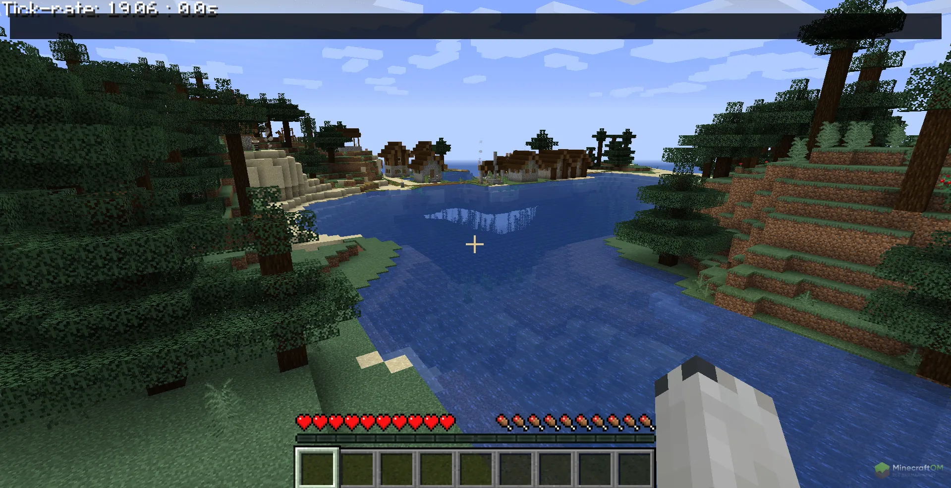 Строка для команд чит мода ForgeHax