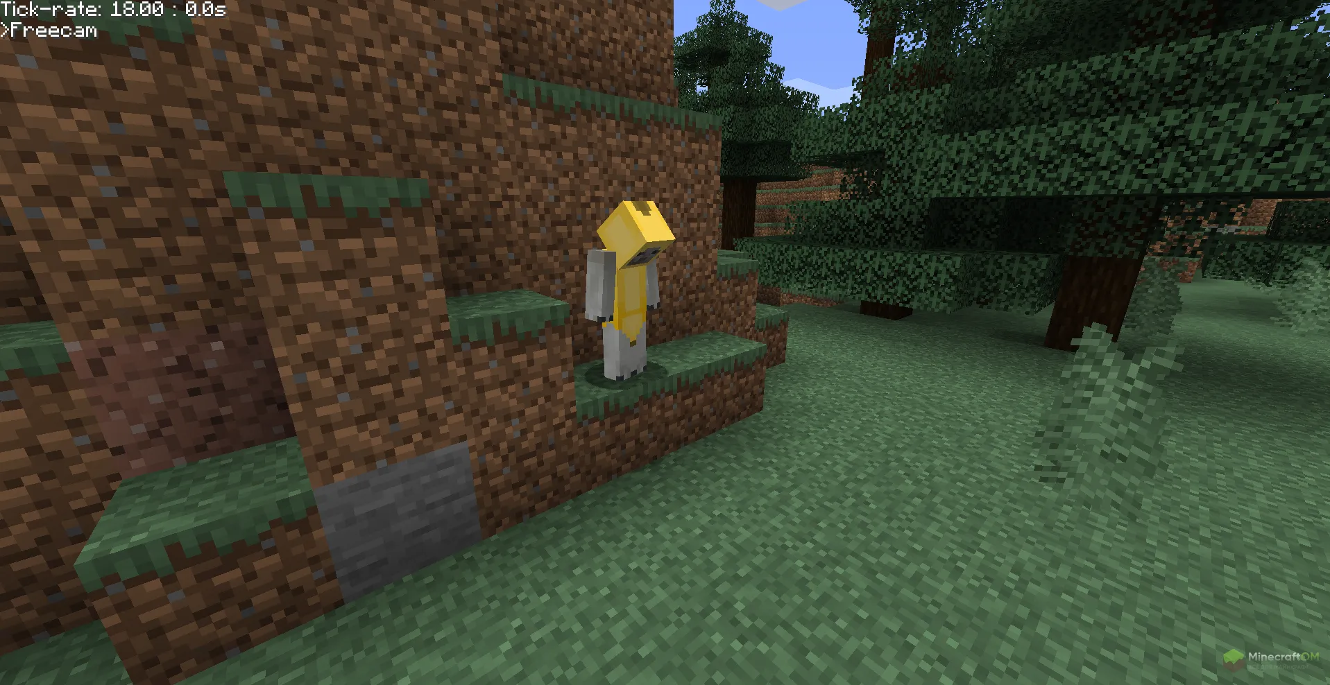 Функция Freecam чит мода ForgeHax