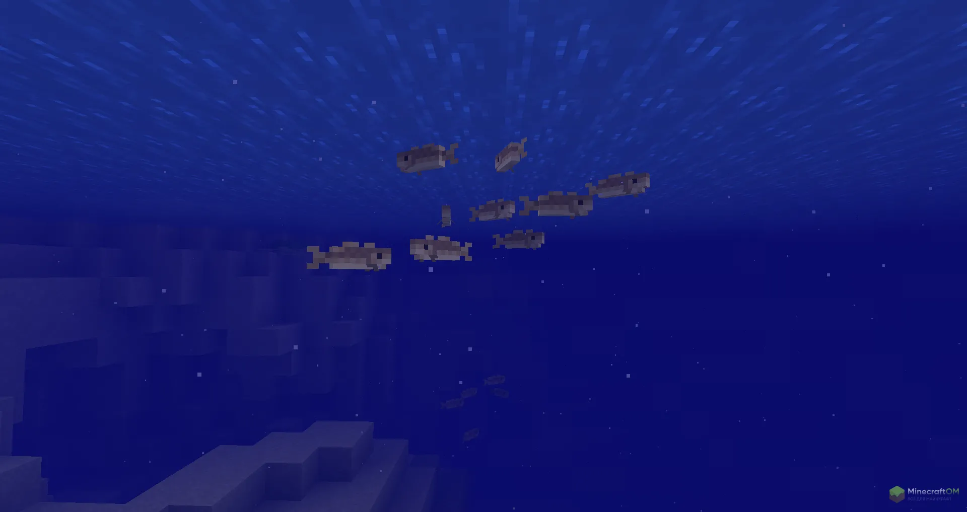 Косяк рыбок из Майнкрафт 1.21.2