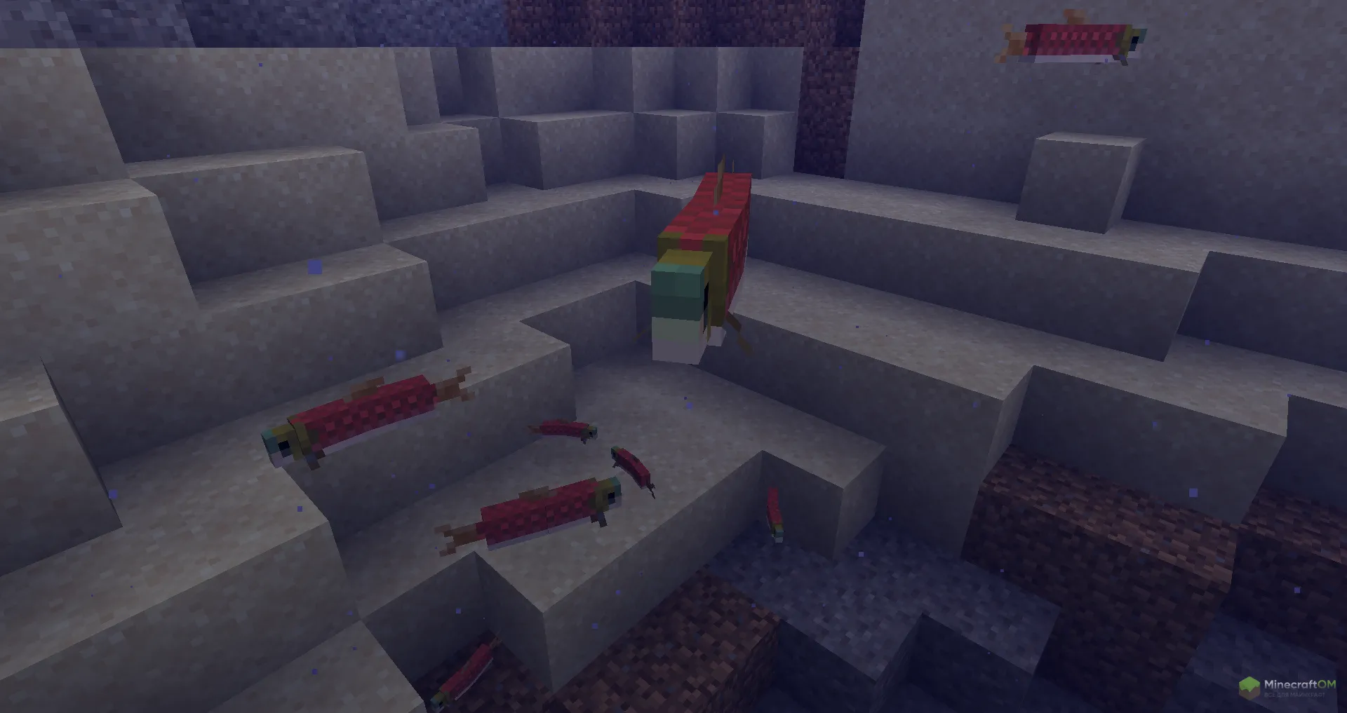 Множество лососей из Майнкрафт 1.21.3