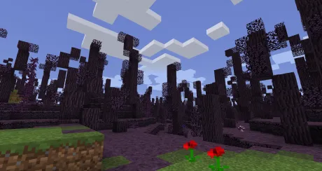 Лес Тенебра из мода Defiled Lands