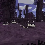Новый мирный моб из мода Defiled Lands