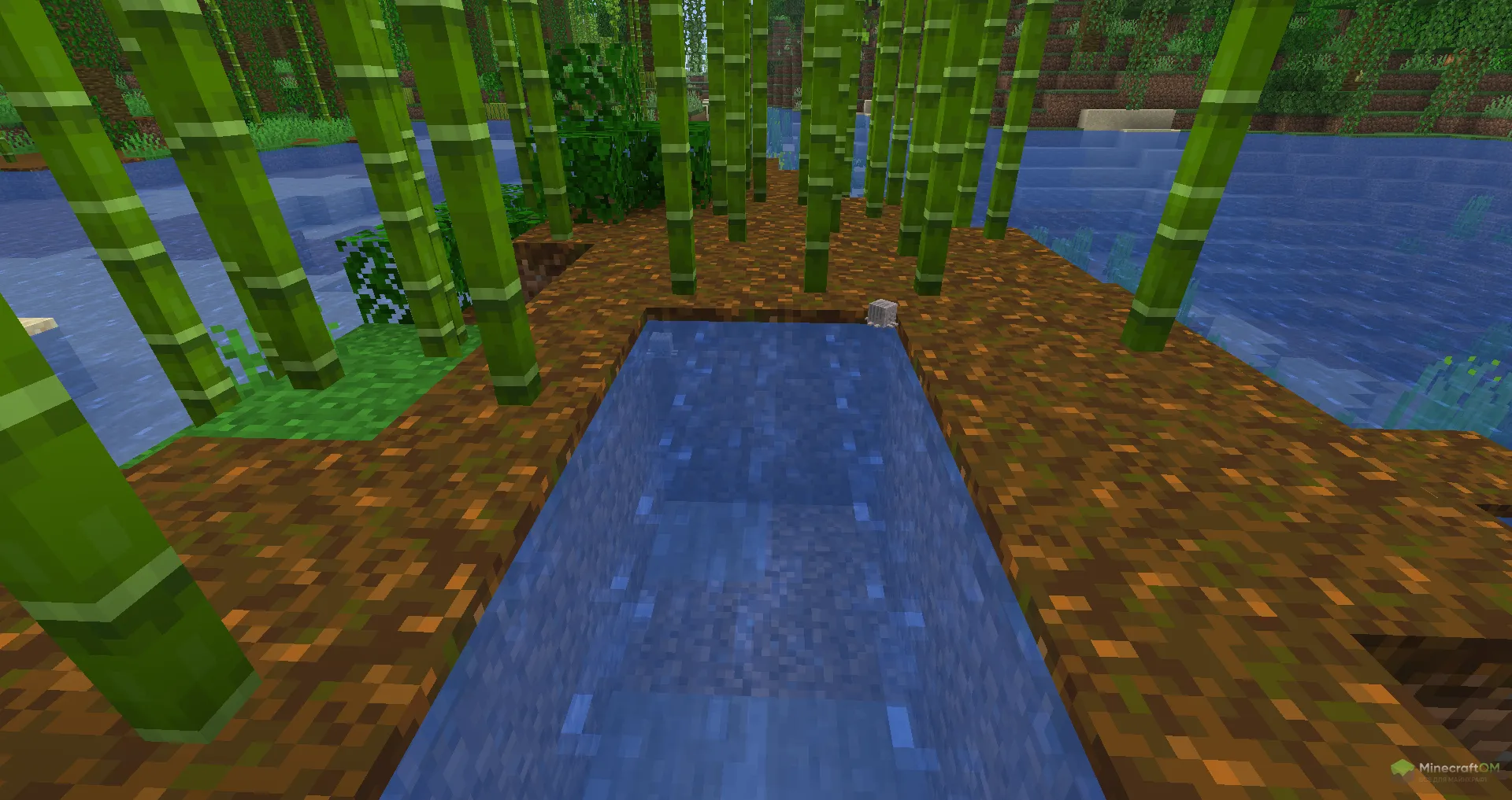 Высохшие гасты под водой в Майнкрафт 1.21.6