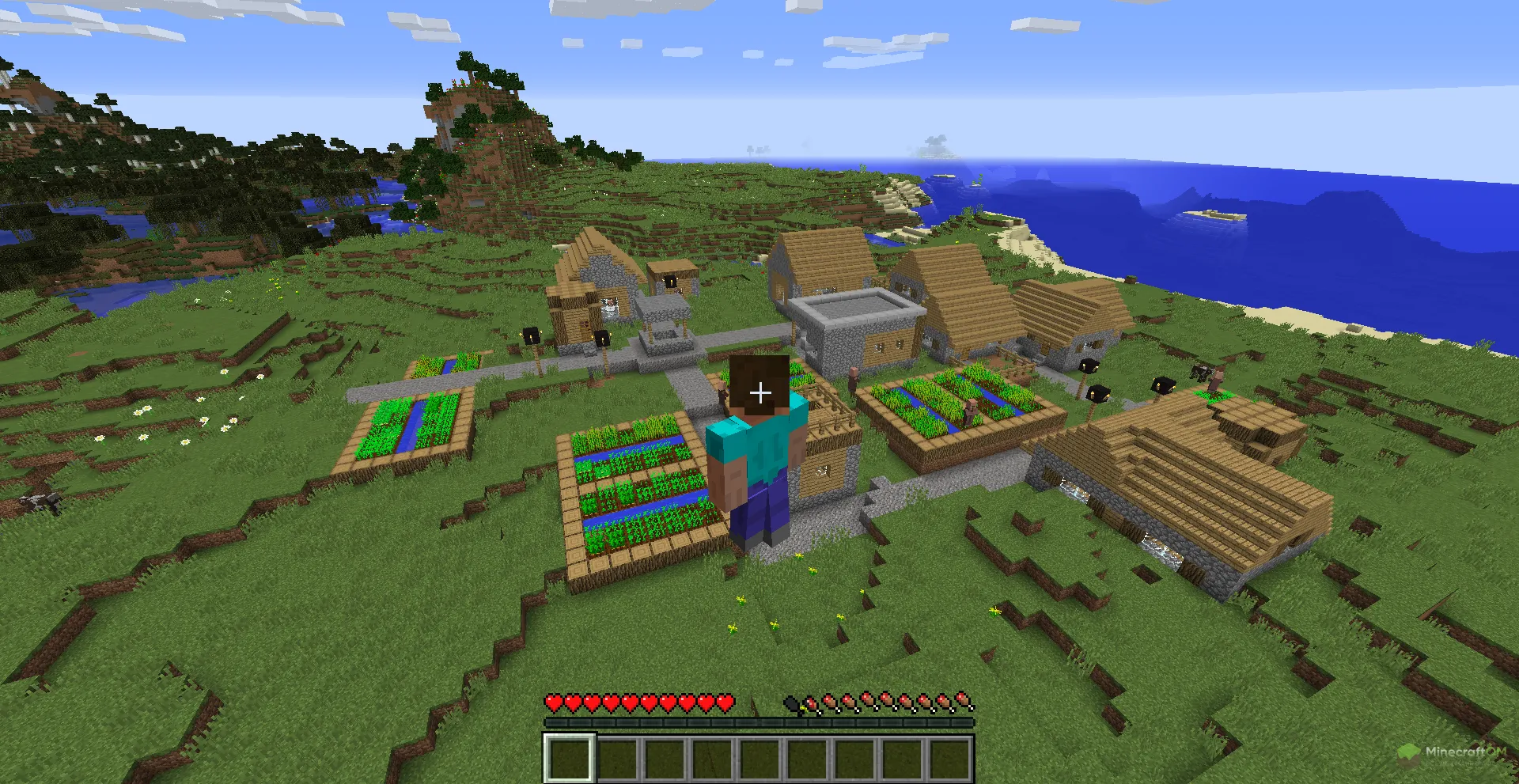 Функция полета чита Raven A Plus