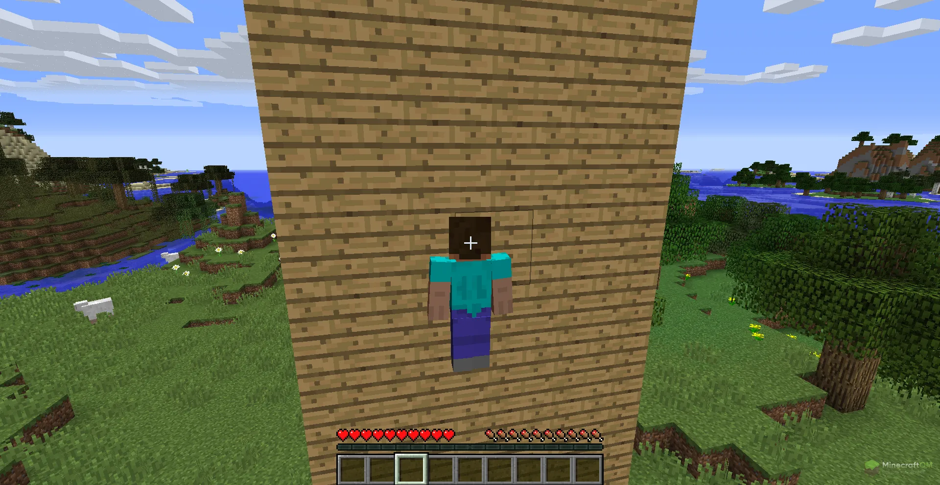 Возможность чита Raven A Plus лазить по стенам