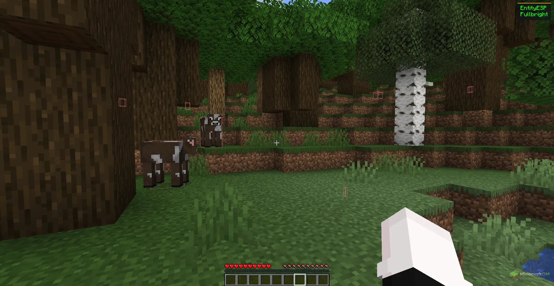 Функция подсвечивания живых сущностей чита Amber