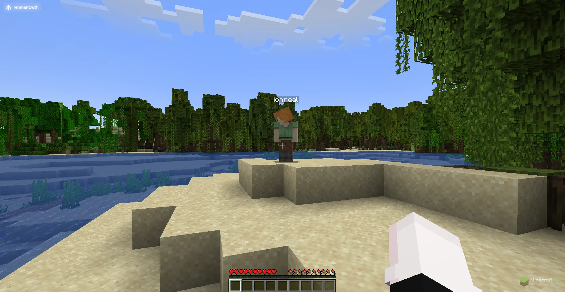 Возможность ставить фейкового игрока чита Remnant