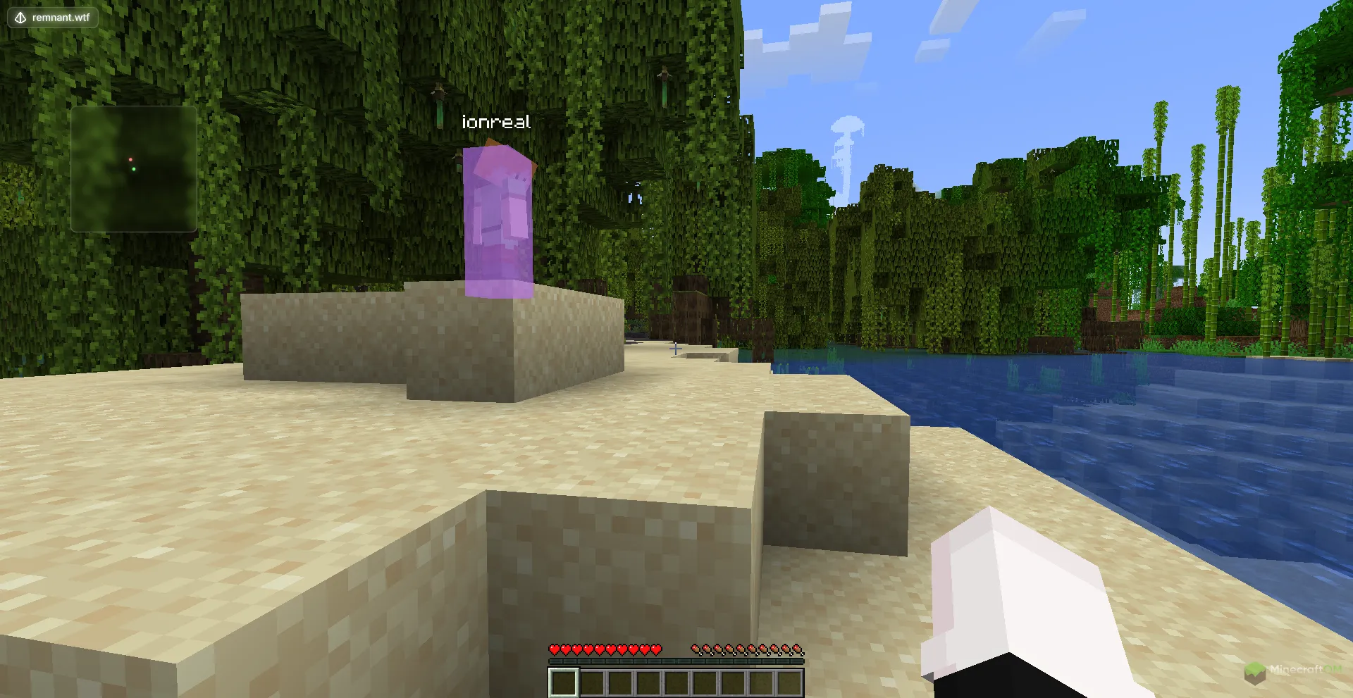 Подсвечивание других игроков и радар чита Remnant