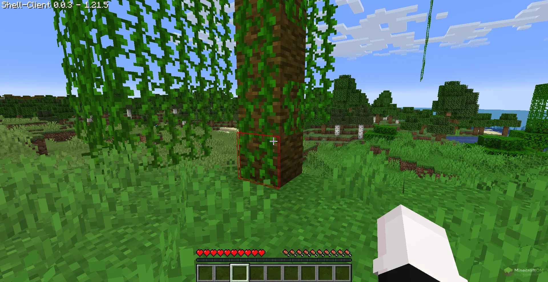 Подсветка блоков с помощью чита Shell