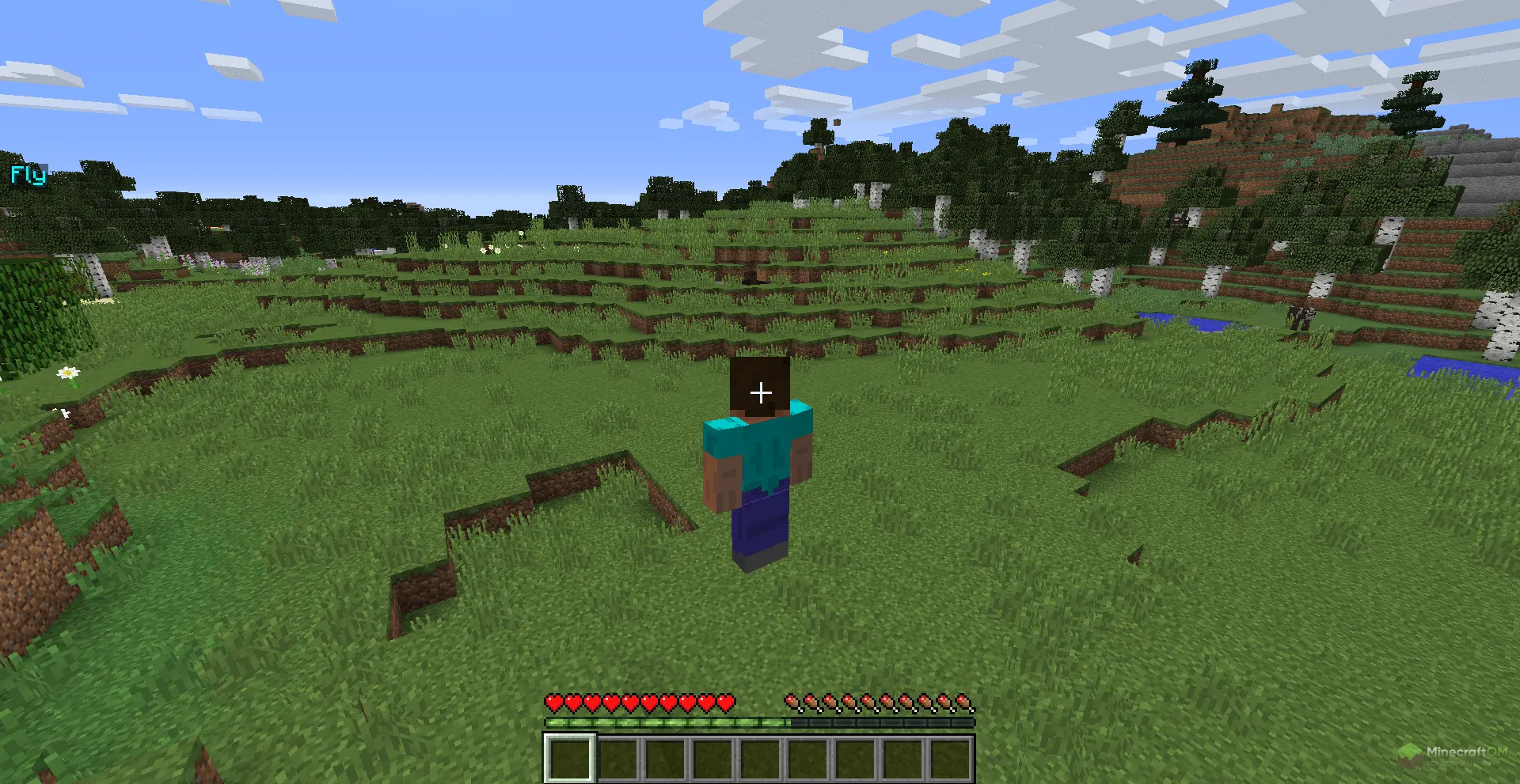 Возможность летать в режиме виживания с помощью чита Raven BS