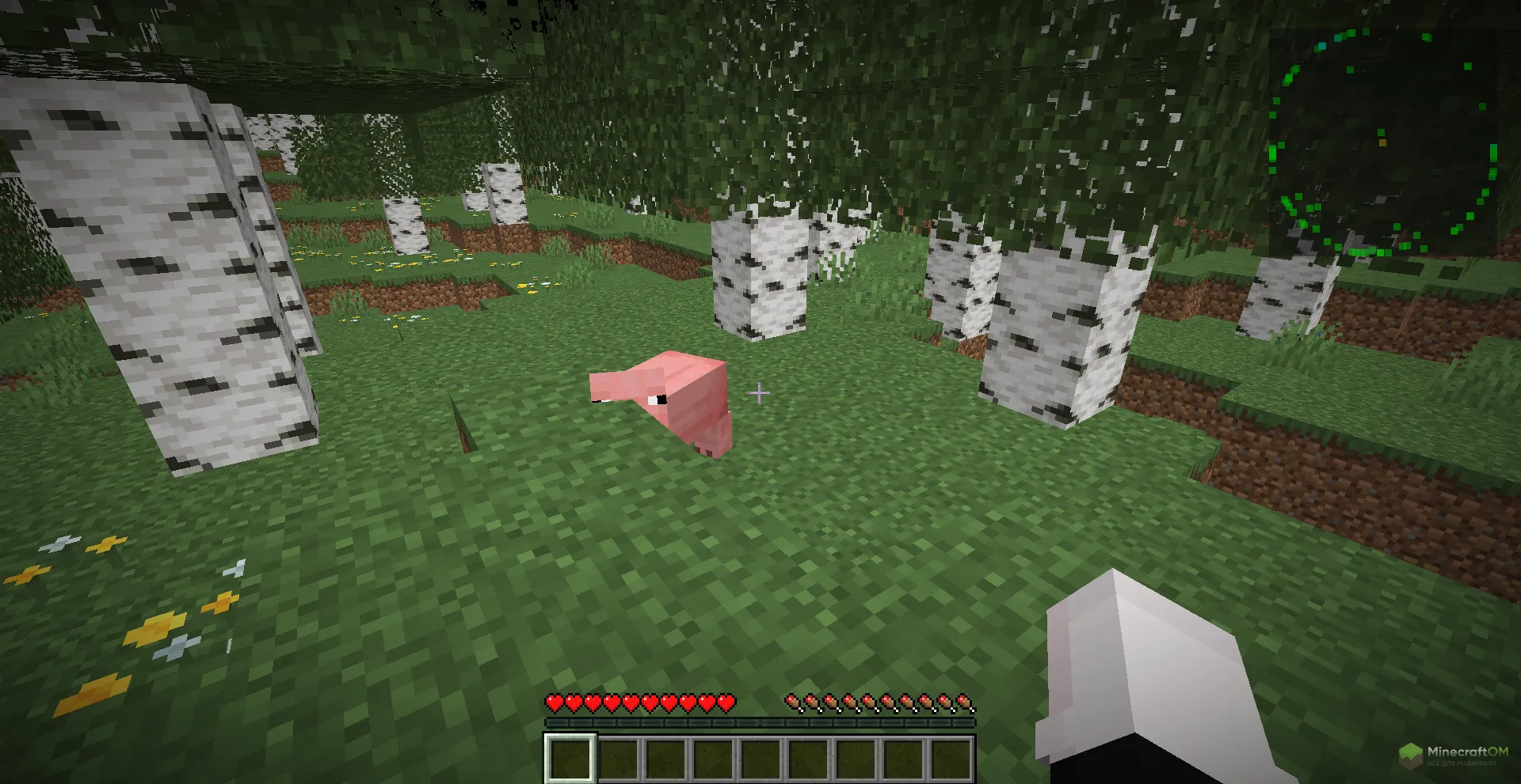 Радар чита Gavins Extensible