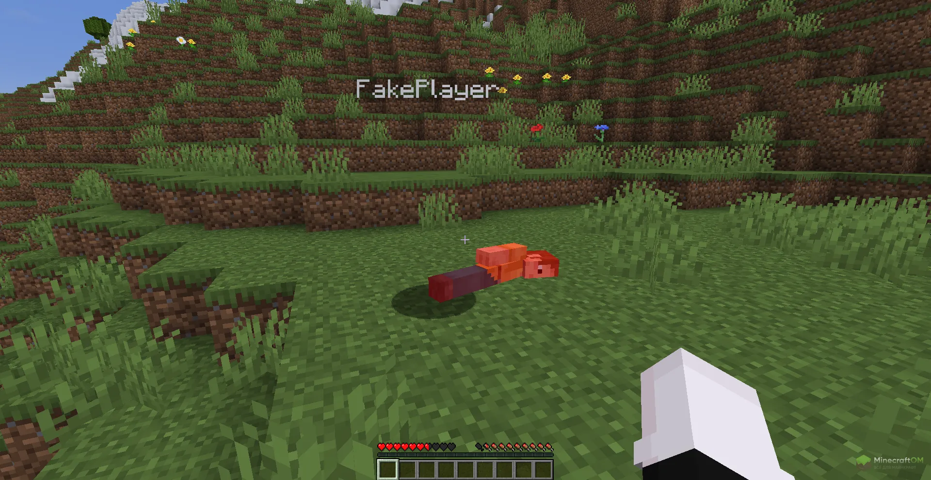 Функция фейкового игрока чита Lucid Argon