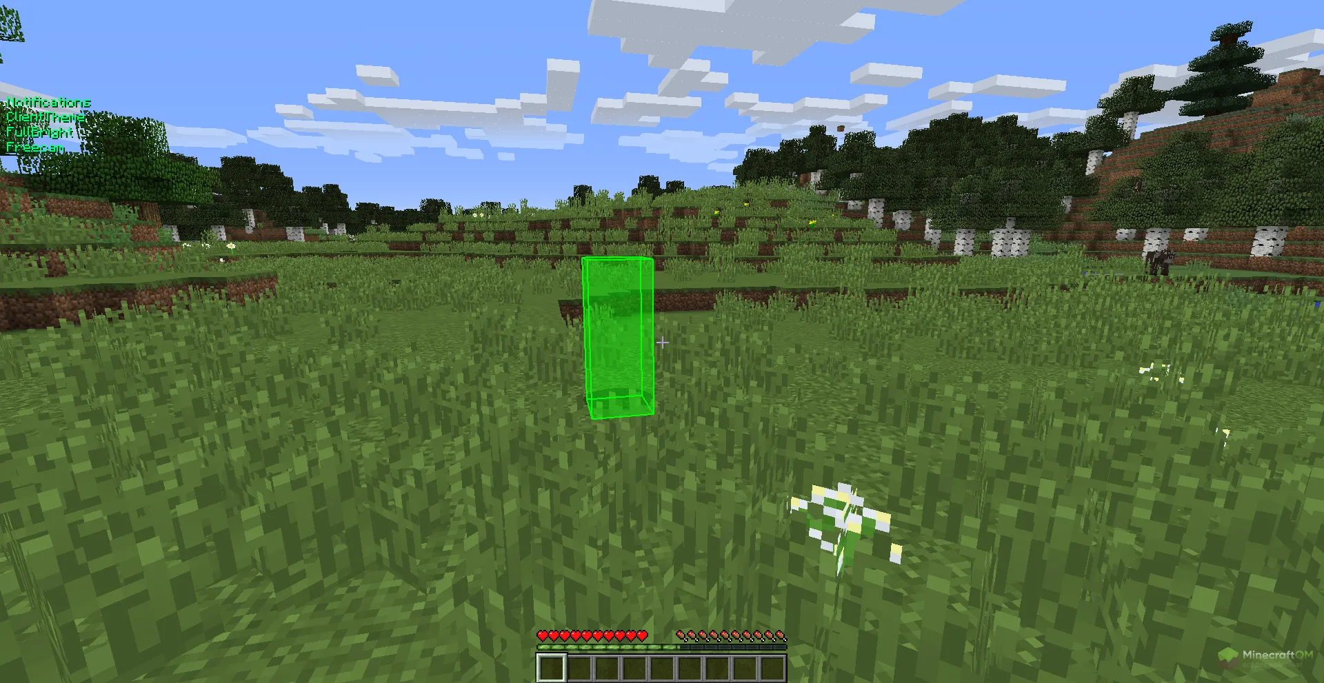 Функция Freecam чита Raven XD