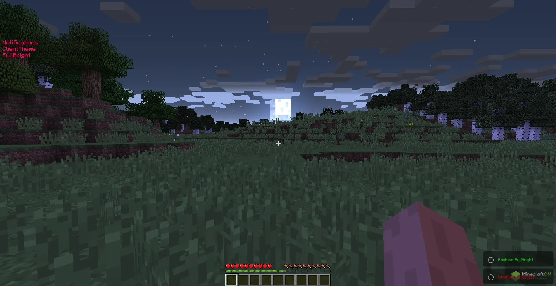 Функция Fullbright чита Raven XD