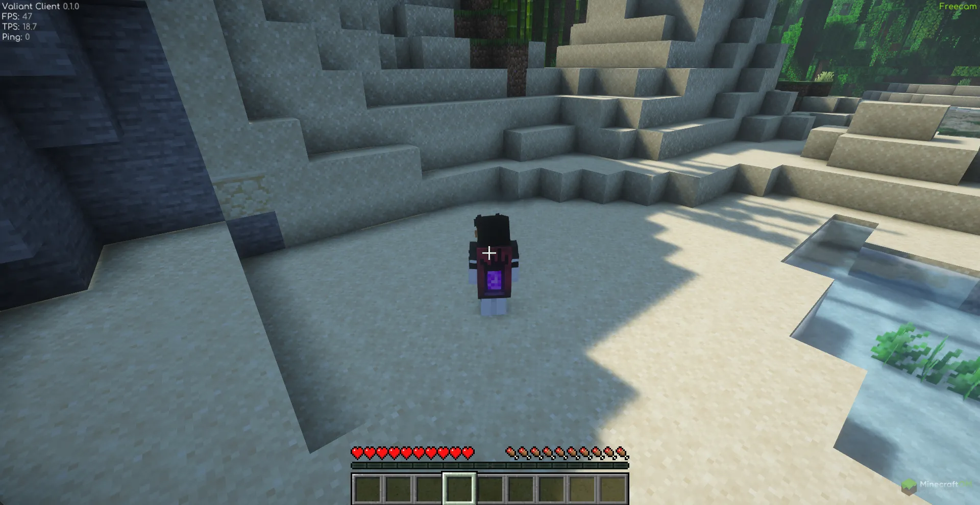 Свободная камера чита Valiant