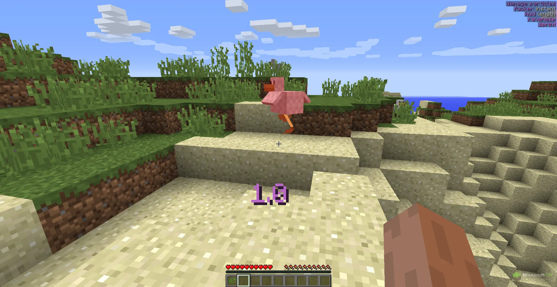 Показатель нанесенного урона внутри чита Biggie