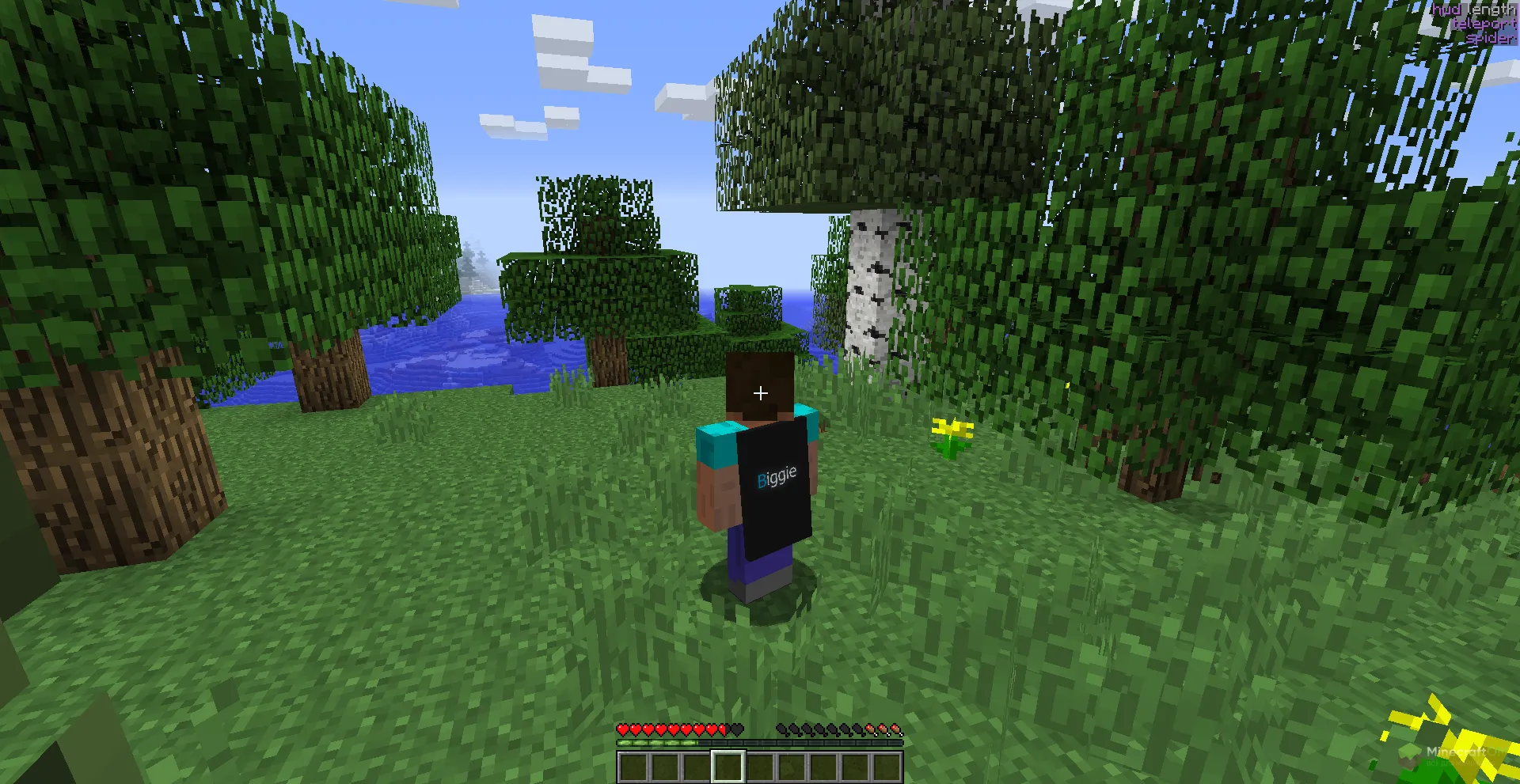 Плащ внутри чита Biggie