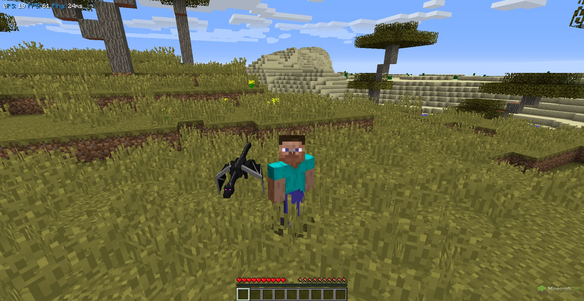 Собственный эндер дракон внутри чита Odin