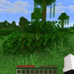 Функция обводки блока чита Oyvey