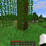 Подсветка блоков с помощью чита Shell