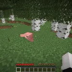 Радар чита Gavins Extensible