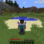 Косметические крылья чита Haru Reborn