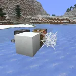 Правильная работа блоков в Майнкрафт 1.21.10