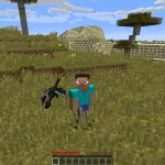 Собственный эндер дракон внутри чита Odin