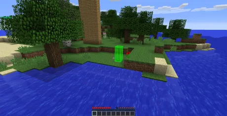 Функция свободной камеры