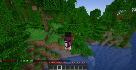 Функция полета с читом Gavins Extensible