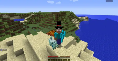 Разная косметика для игрока