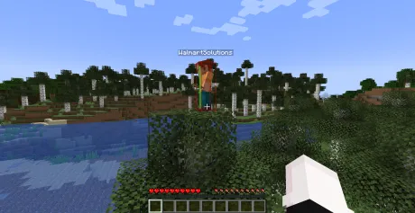 Подсвечивание других игроков с читом SaKurwa