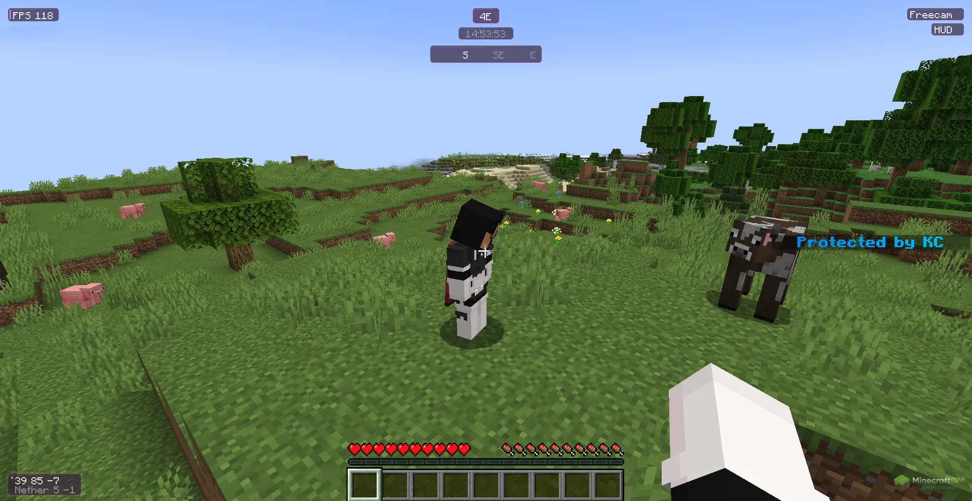 Функция свободной камеры чита Krypton Renamed