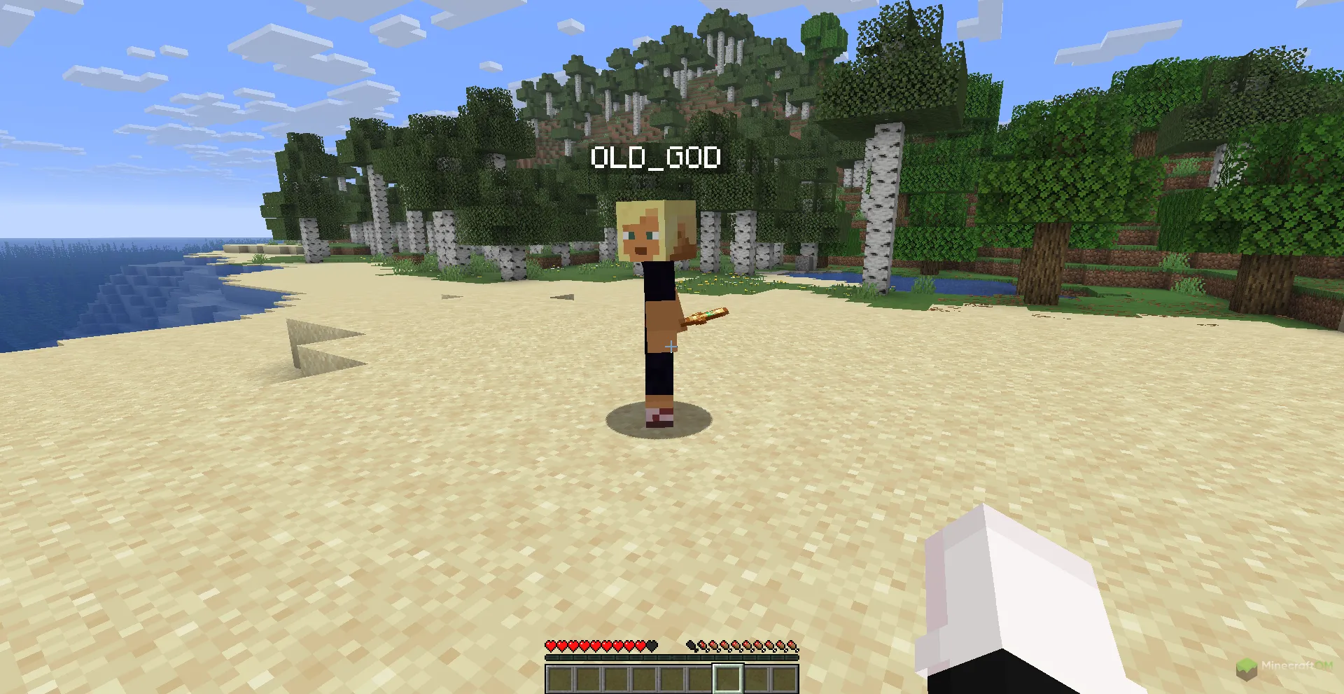 Функция Fake Player чита CatLean