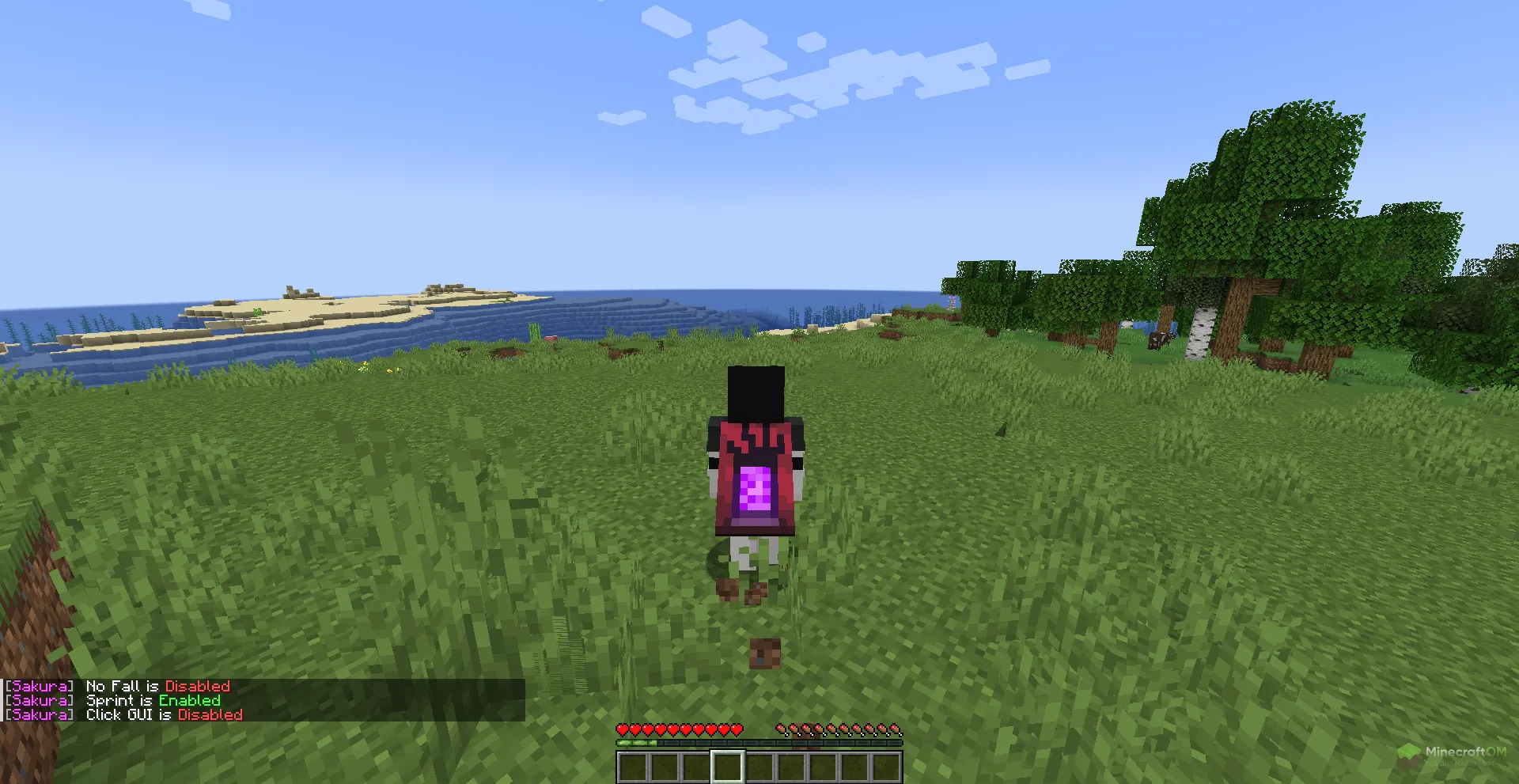 Постоянный спринт с помощью чита Sakura