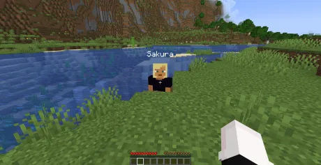 Фейковый игрок с помощью чита Sakura 3.0