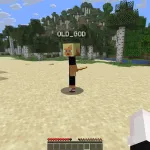 Функция Fake Player чита CatLean